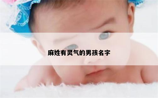 麻姓有灵气的男孩名字