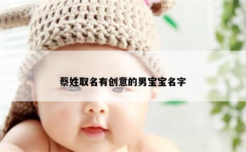 蔡姓取名有创意的男宝宝名字